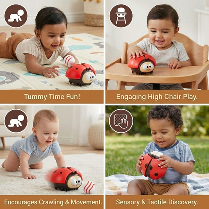 Ladybug Balloon Toy for Babies