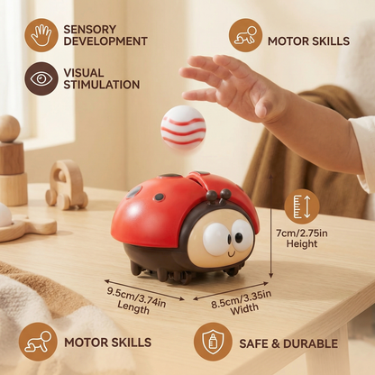 Ladybug Balloon Toy for Babies
