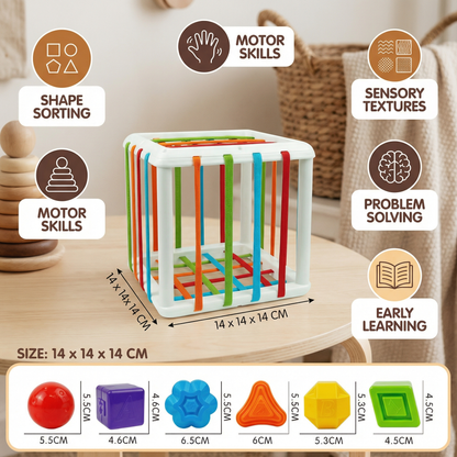 Montessori Shape Box – Sorting & Motor Skills Game